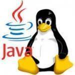 java linux