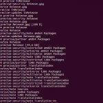 Aggiornamenti automatici su Ubuntu con unattended-upgrades