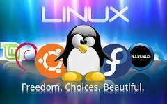 chi usa Linux