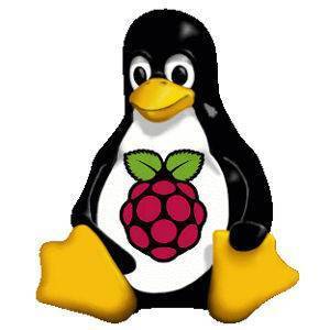 raspberry pi linux